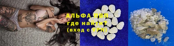 индика Коряжма